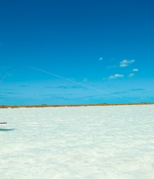 Mangrove Cay Club