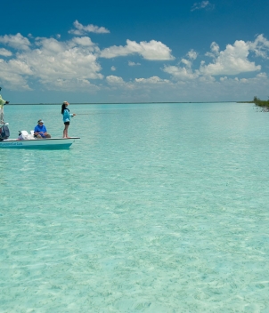 Mangrove Cay Club
