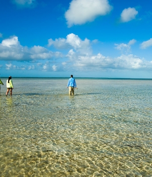 Mangrove Cay Club