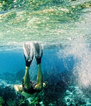 Mangrove Cay Club