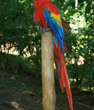 Zancudo Lodge