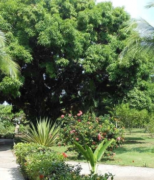 Zancudo Lodge