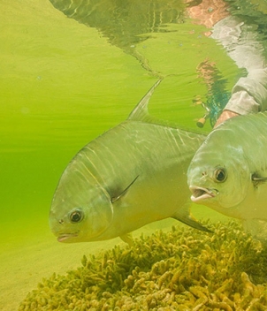 Casa Blanca Fishing Lodge