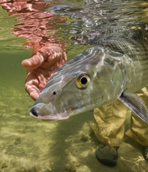 Casa Blanca Fishing Lodge