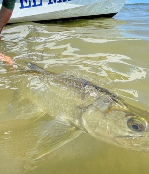 Grand Slam Fishing Lodge