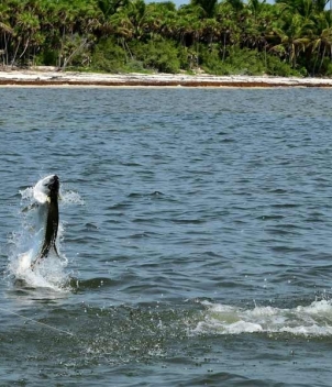 Grand Slam Fishing Lodge