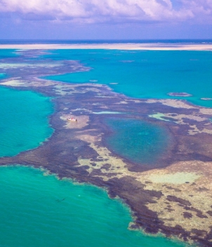 Alphonse Island Lodge