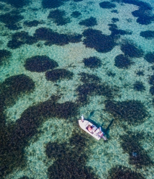 Alphonse Island Lodge
