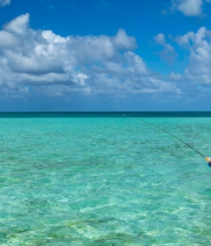Alphonse Island Lodge