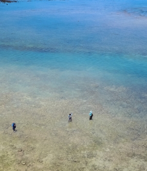 Astove Island Lodge