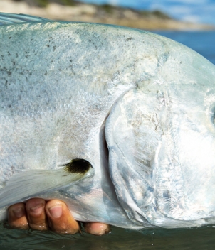 Astove Island Lodge