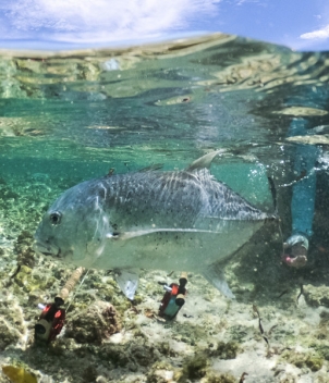 Astove Island Lodge