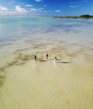 Astove Island Lodge
