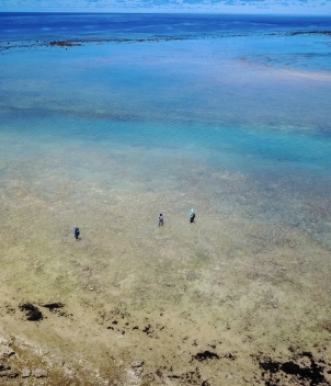 Astove Island Lodge