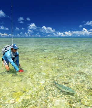 Astove Island Lodge