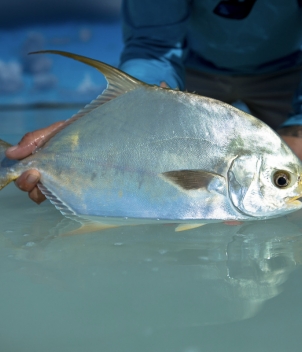 Astove Island Lodge