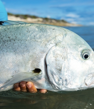 Astove Island Lodge