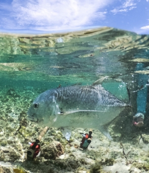 Astove Island Lodge