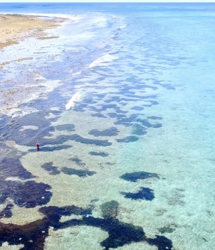 Astove Island Lodge