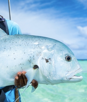 Astove Island Lodge