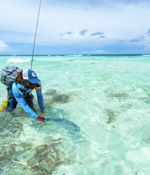 Astove Island Lodge