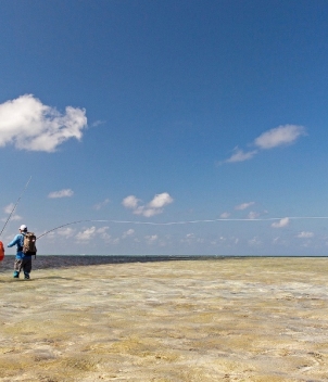 Farquhar Atoll