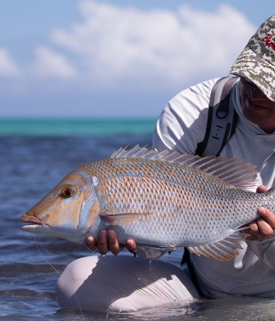 Farquhar Atoll