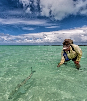 Farquhar Atoll