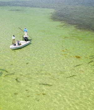 Bahia Honda, Lower Keys, Florida