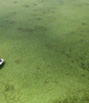Bahia Honda, Lower Keys, Florida
