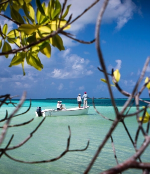 Fly Fishing Los Roques