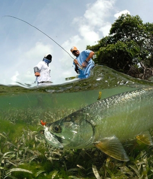 Fly Fishing Los Roques
