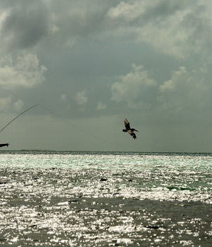 Fly Fishing Los Roques