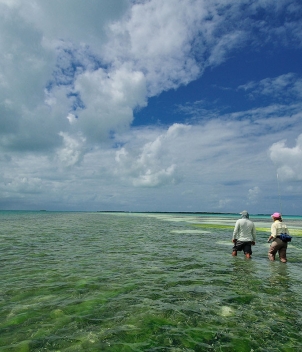 Fly Fishing Los Roques