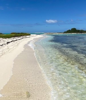 Fly Fishing Los Roques