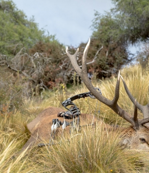 AK Hunts - Big Game