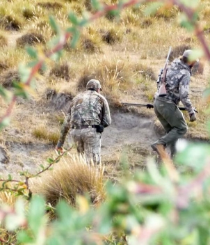 AK Hunts - Big Game