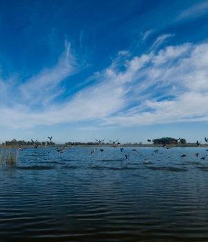 Estancia Santa Rita