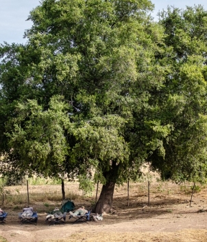 La Dormida Lodge