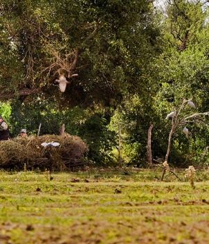 La Torcaza Lodge