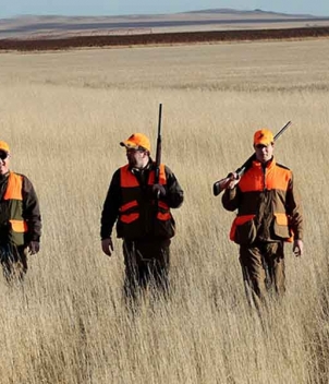 Cheyenne Ridge Signature Lodge