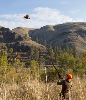 Flying B Ranch