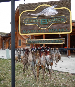 Flying B Ranch