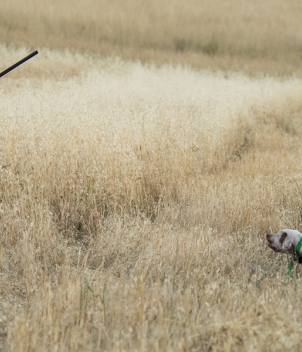 Flying B Ranch