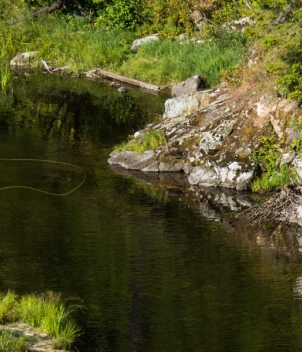 Flying B Ranch
