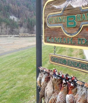 Flying B Ranch