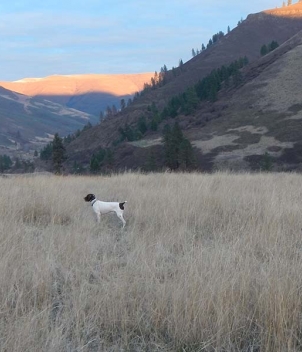 Flying B Ranch