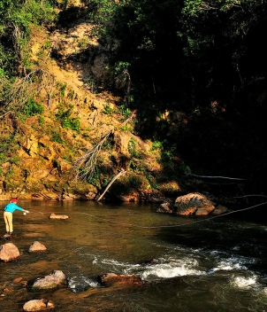 Tsimane - Pluma Lodge