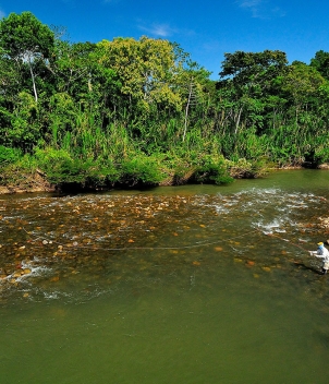 Tsimane - Pluma Lodge