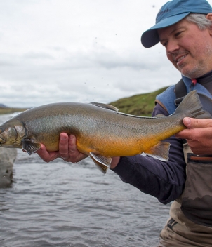 Iceland Trout & Char